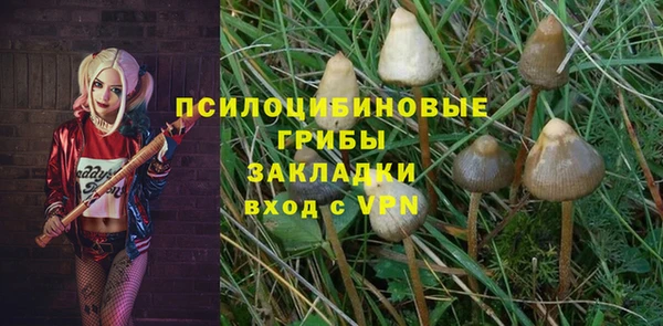 винт Богданович