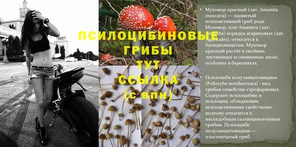 винт Богданович