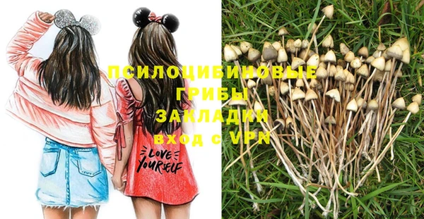 гидропоника Бронницы