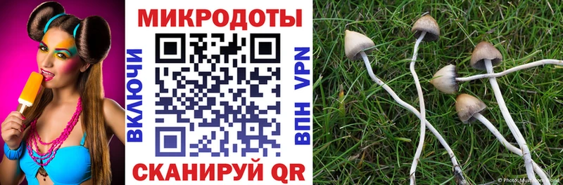 Псилоцибиновые грибы прущие грибы  Купить где  Евпатория 